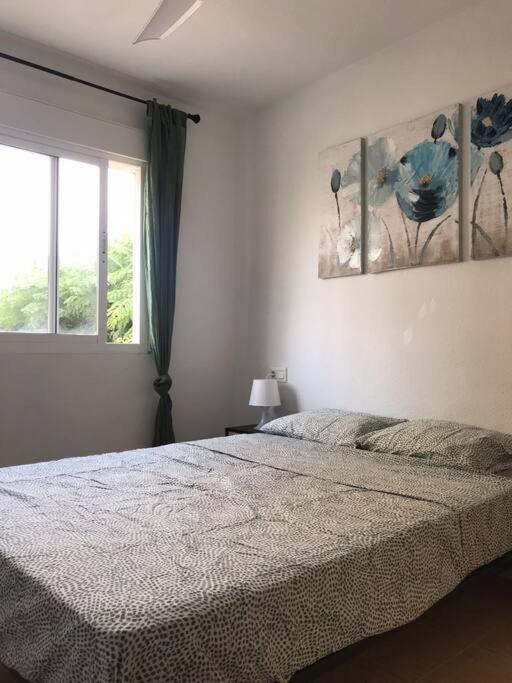 Lovely One Bedroom Unit With Balcony And Pool Denia Kültér fotó